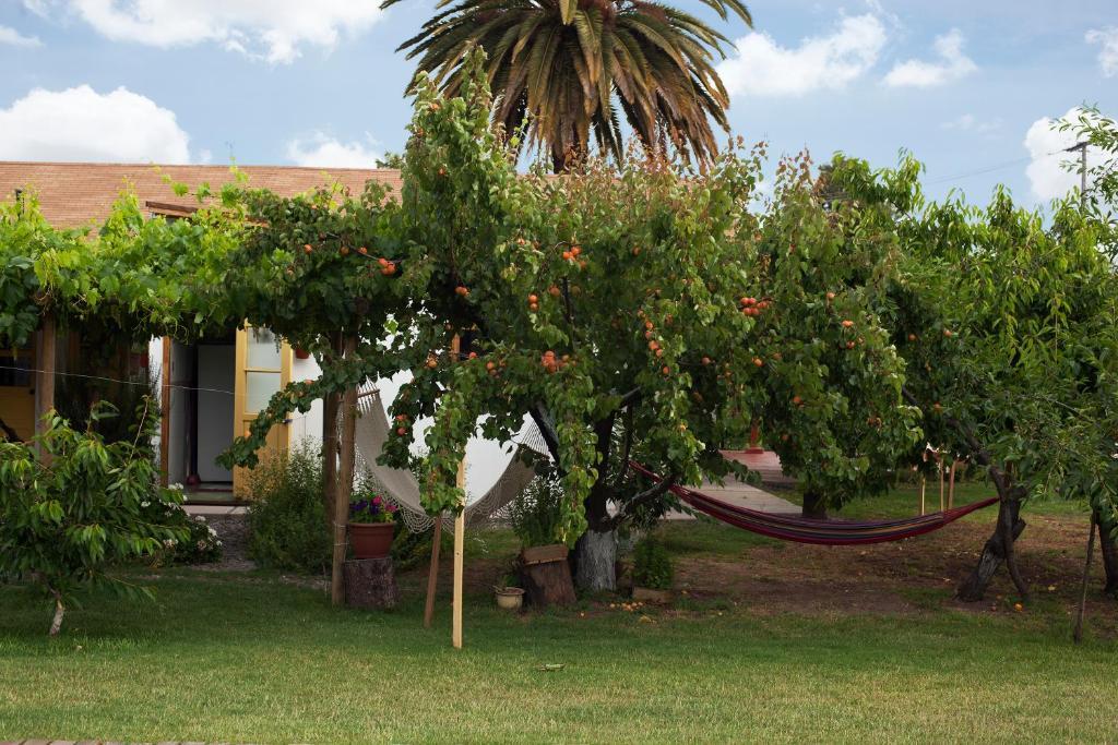 Bed and Breakfast Casa Pando Santa Cruz Exteriér fotografie